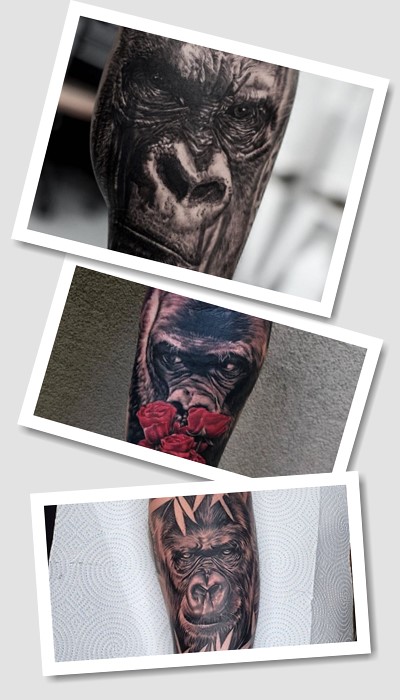 значення тату горила