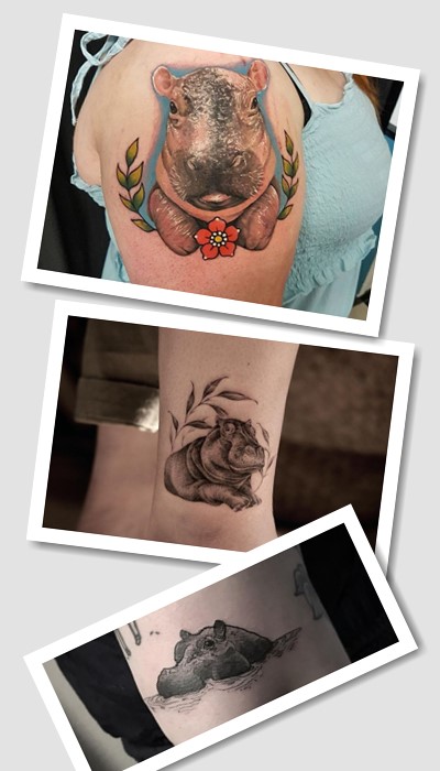 тату бегемот стилі