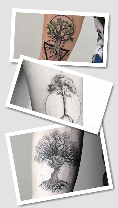 тату дерево життя значення