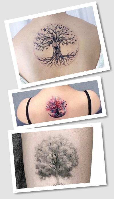  тлумачення татуювання дерево життя