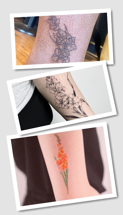 значення татуювання гладіолус