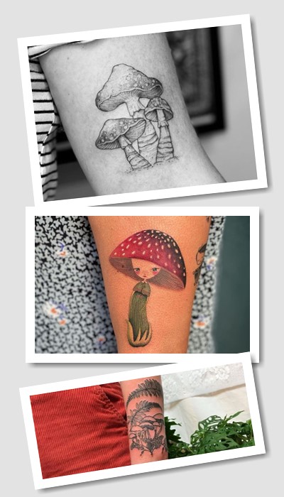 Гриб тату має різноманітні тлумачення