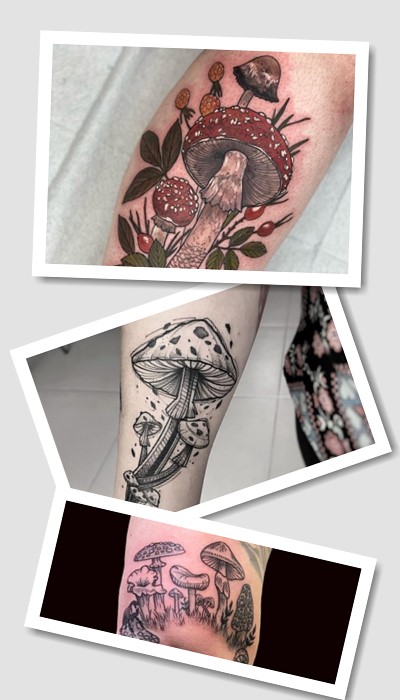 Кольорові тату гриби
