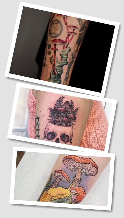 кому підходить Гриб тату