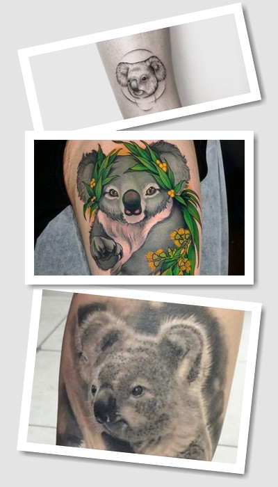 Цікаве значення татуювання коала 