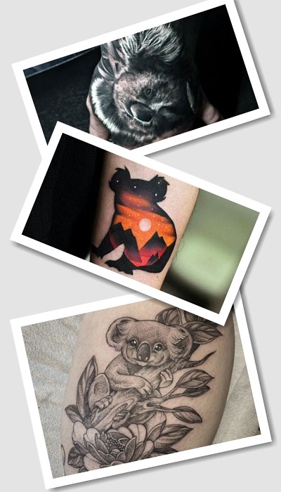 Історія символу коала тату