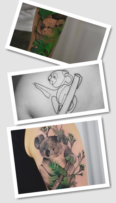 Значення коала тату