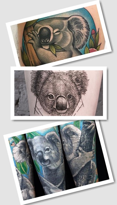 Популярні варіанти коала тату