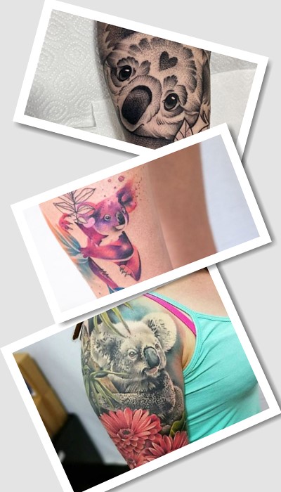 коала тату у Києві