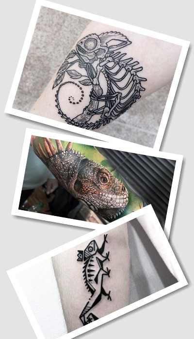 хто обирає тату хамелеон