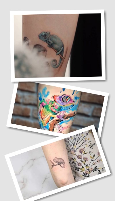 тату хамелеон роблять в яскравих кольорах