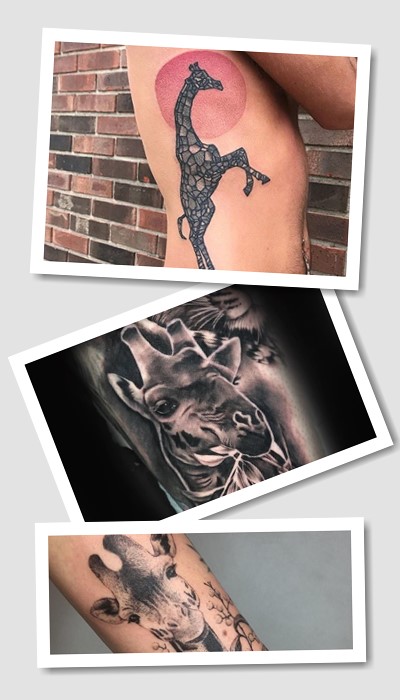 Тату жираф зазвичай має довгасту форму,