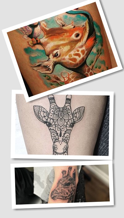 хто обирає Татуювання жираф