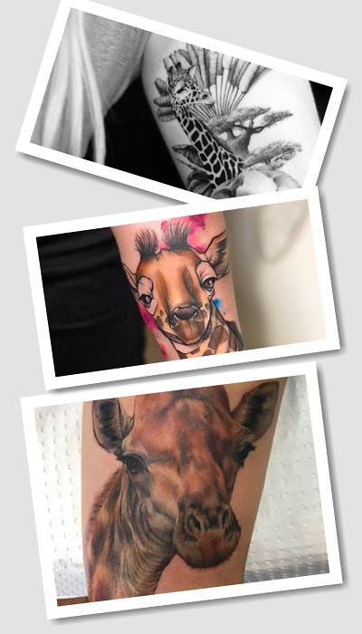 Стилі та кольори зображення Тату жираф 