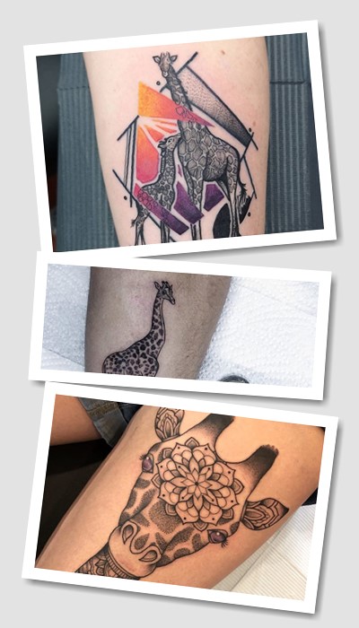 Варіанти розміщення Тату жираф