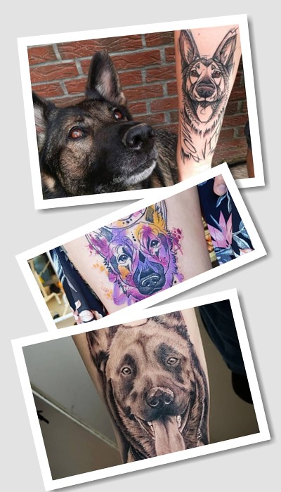 Татуювання німецька вівчарка значення