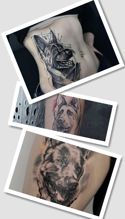 Що треба знати про татуювання німецька вівчарка