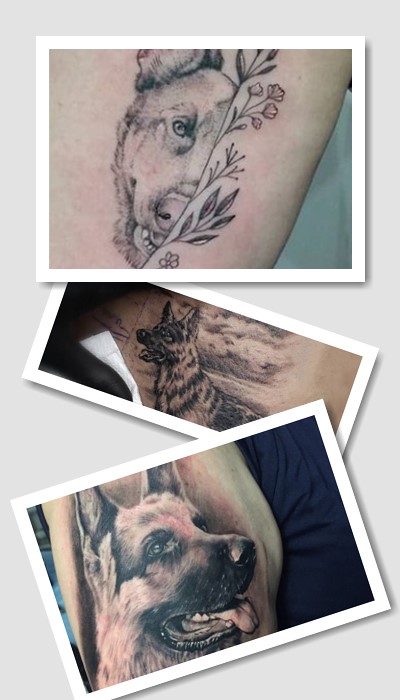 Що татуювання вівчарка говорить про людину