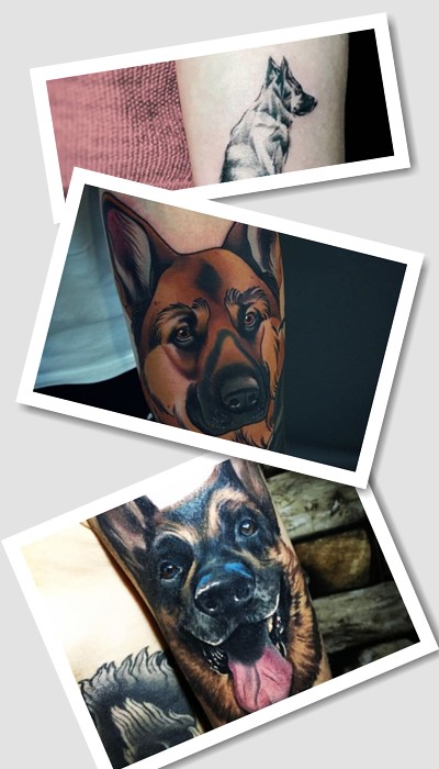 де розміщують тату Вівчарка 
