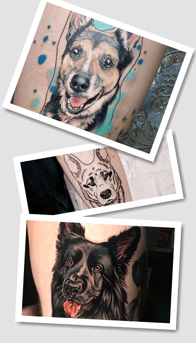 варіанти тату німецька вівчарка