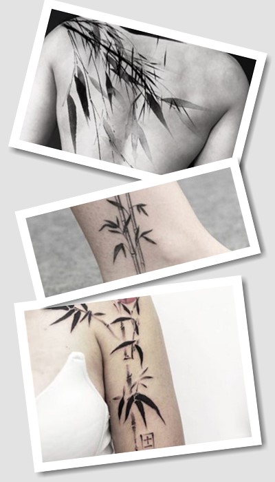 Тату бамбук варіанти зображення