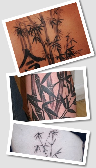 символізм тату бамбук