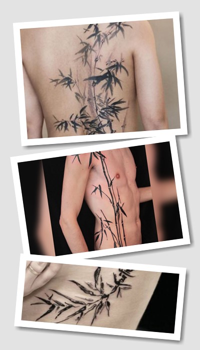 Значення тату бамбук