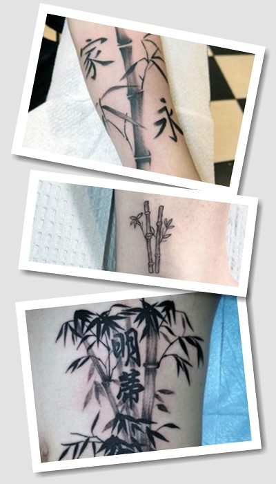 Тату бамбук що означає