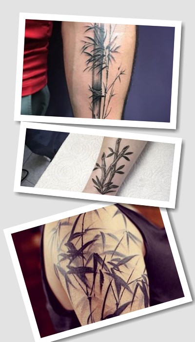 Варіанти малюнків Тату бамбук