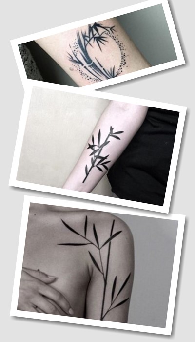 Тату бамбук – естетичний малюнок з глибоким змістом