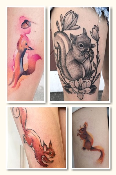 історія тату білка