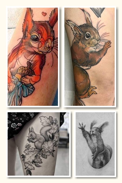 Що означає тату білка