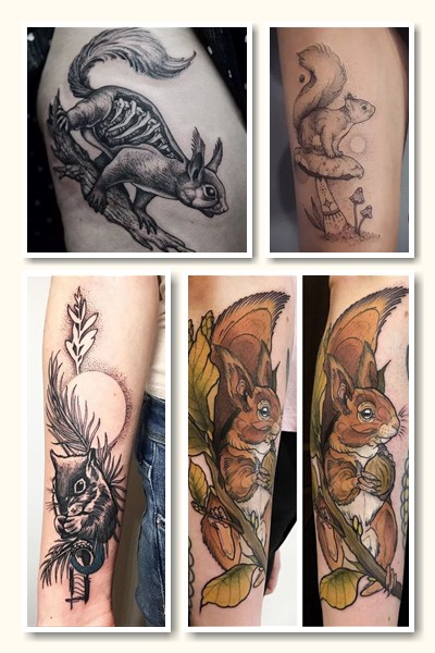 Місце розміщення тату білка