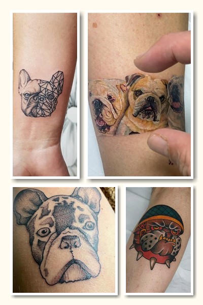 Місце розташування тату бульдог