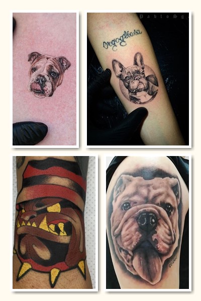 історія тату бульдог