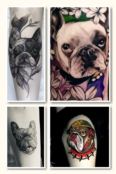 Англійський бульдог тату