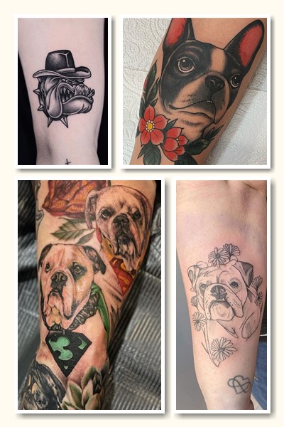 Тату бульдог нерідко буває однотонним