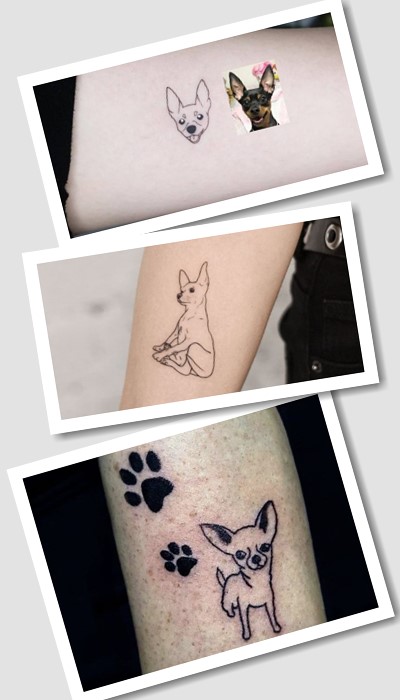 Значення татуювання чихуахуа