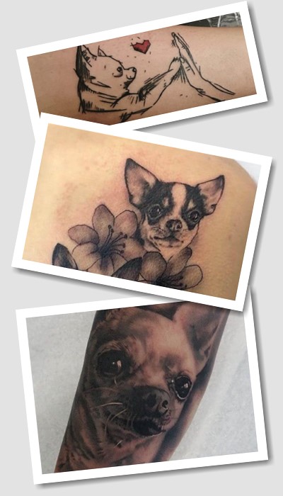 Значення татуювання чихуахуа: важливо знати!