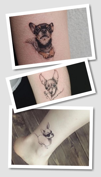 Йорки та чихуахуа тату