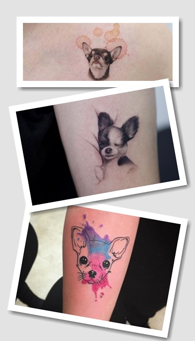 як зображають Тату йоркширський тер’єр або чихуахуа