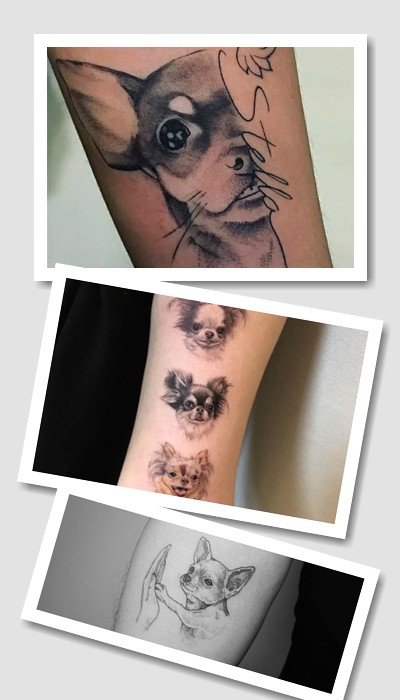 Тату чихуахуа та йоркширський тер’єр – милі зображення