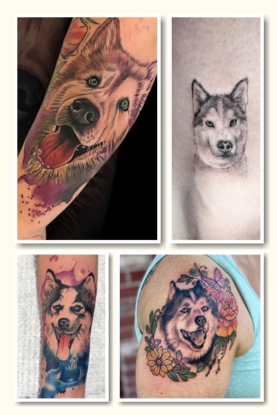 історія тату хаскі