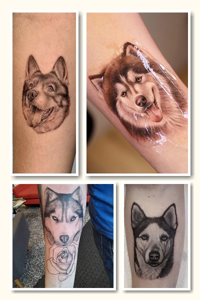 Що татуювання хаскі говорить про людину