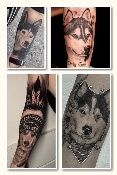 Де набивають тату хаскі