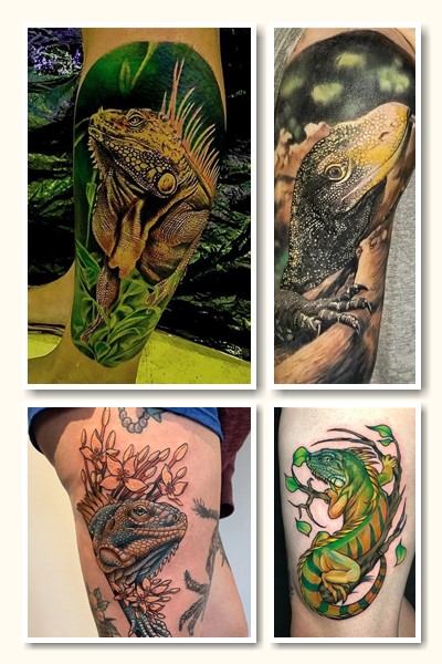 Значення татуювань ігуана, варан