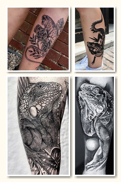 Тату ігуана та варан у Києві