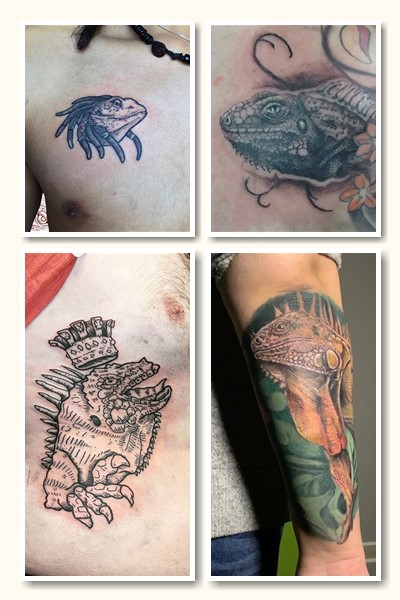 Тату ігуана має кілька тлумачень