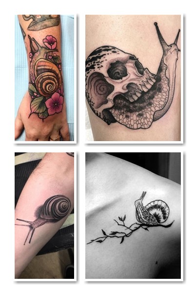 історія тату равлик