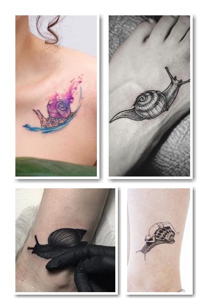  Тату равлик варіанти